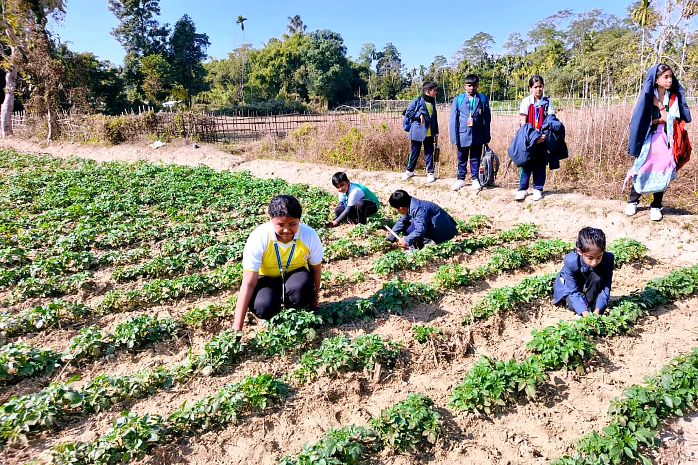 Learning out in the fields
