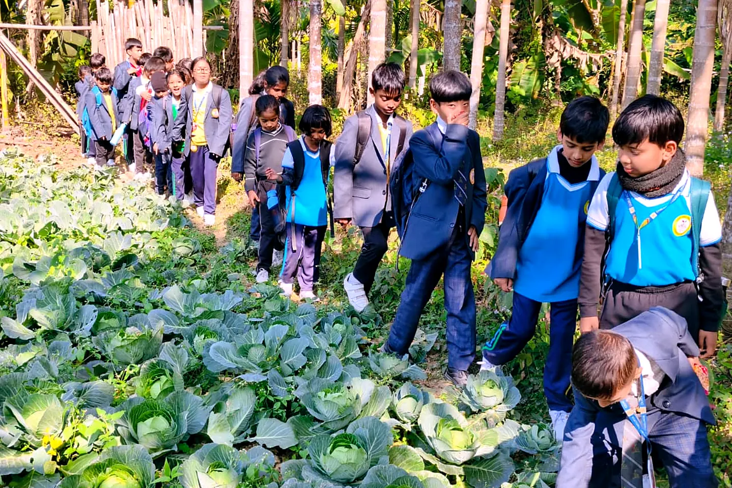 A field visit between the rows